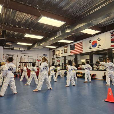 Maui Taekwondo and Hapkido Center