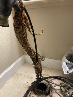 Root intrusion give us a call for any of your drains clogs.