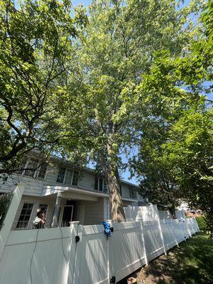 His & Hers Tree Service