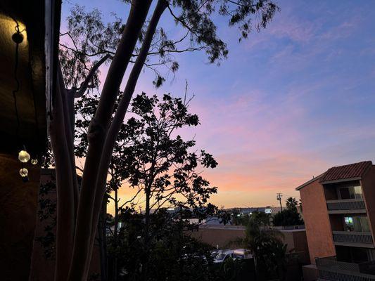 Palisades Apartments