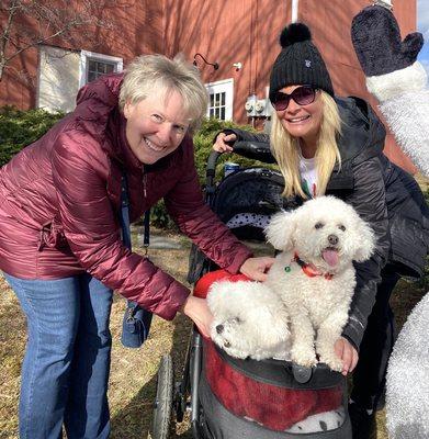 Anthony E Giannetti, DMD