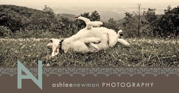 Ashlee Newman Photography