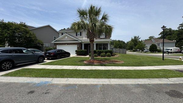 Southern Palms Landscaping