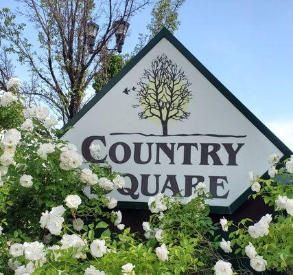 Picking up dry cleaning, in the Country Square.