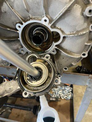 Leaking coolant gasket.