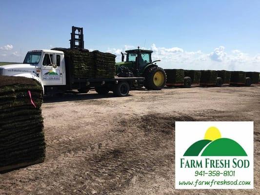 Farm Fresh SOD