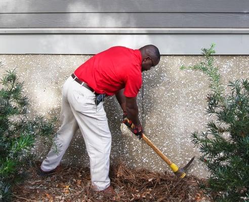 Southern Exterminating