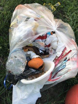 Villa Capri Apartments