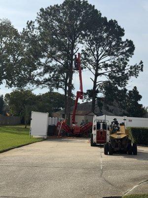 J & B's Tree Service