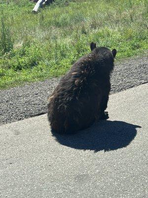 T J's Restaurant & Lounge