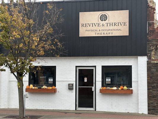 Revive & Thrive Therapy