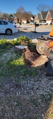 Stump Grinding Solutions