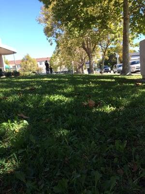 Shady place to wait.