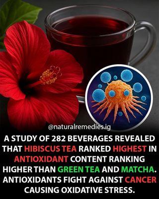 Hibiscus tea