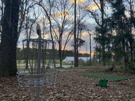 Disc Golf