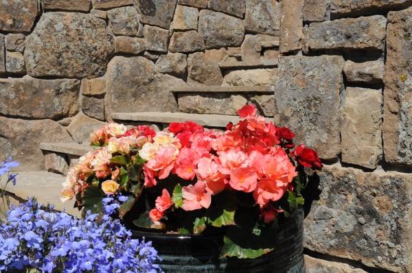 The Tree and Landscape Company