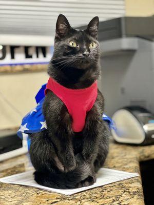 Animal Emergency of Pasco