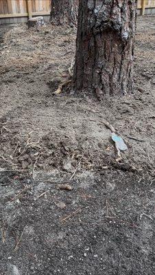 Bozard's Landscaping and Lawn Care