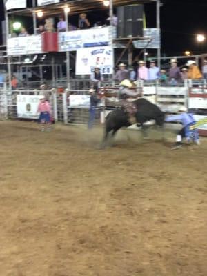 Bull riding!