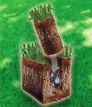 Twin Peak Landscaping