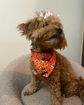 Walkie Talkie Buddies