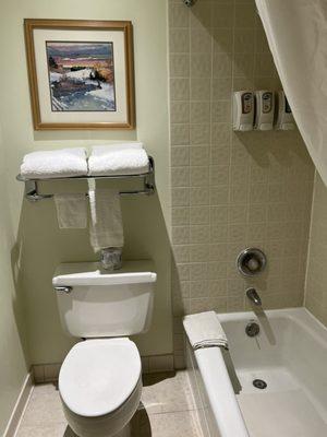 Nice towels & pic in the bathrooms with shampoo, conditioner and body wash dispenser rather than bar soap.