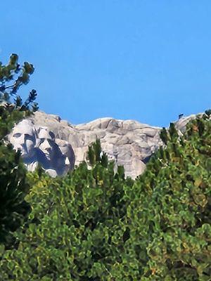 Smart Cents Bookkeeping & Accounting