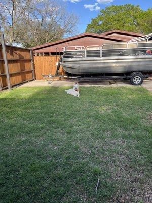 A Gentle Touch Mobile Pet Grooming