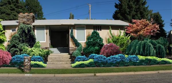 Landscape Visual Imaging