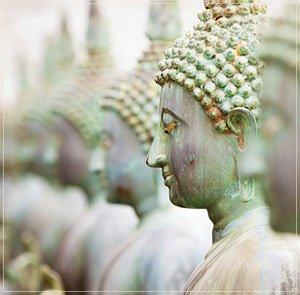 We interweave psychotherapy and neuroscience with the timeless wisdom of meditation and mindfulness.