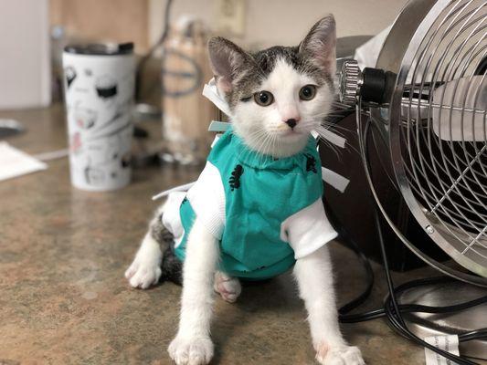 Northern Oaks Bird & Animal Hospital