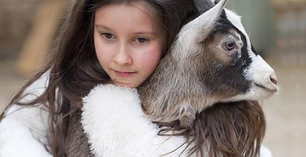 Monthly Editor's Desk articles by our co-founder, Justine Willis Toms