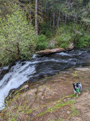 Alsea Falls Recreation Site