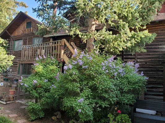 Allenspark Lodge B & B