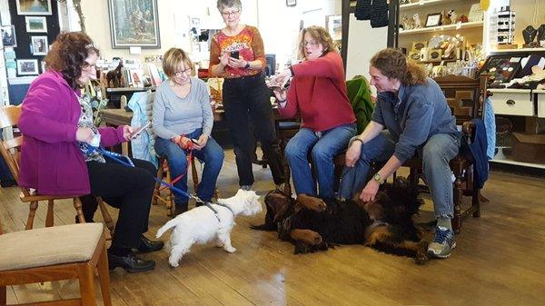 Harmony Dog Training