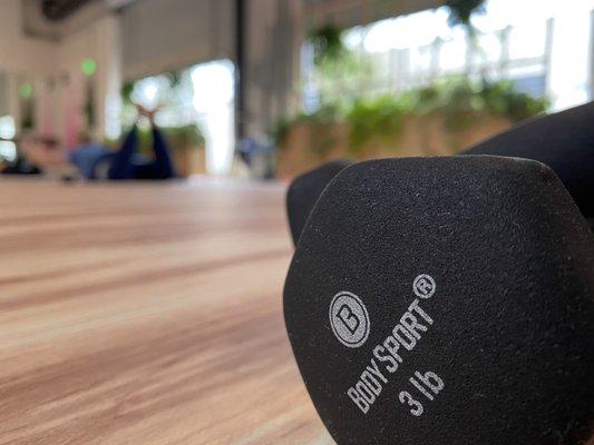 FWRD+ Wellness Collective