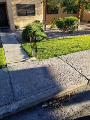 Nice relaxing day. Have a great rest of ur day people