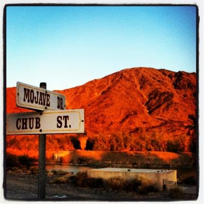 Desert Studies Center