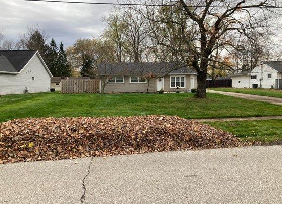 A leaf cleanup in the peak of the fall season