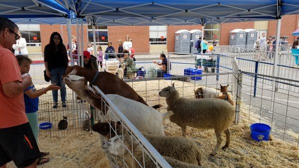 Rivera Village Summer Festival