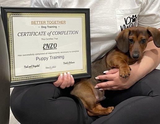 Better Together Dog Training