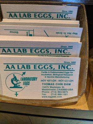 A A Lab Eggs