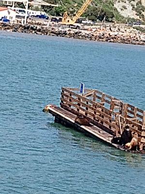 Price gouging strip mall dentist. Reminds me of Western dental.really overpriced. Stay away or watch your pocket book.