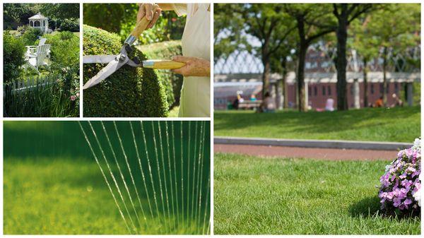 JG Landscaping Company