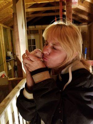 Lemons Toy Maltese & Maltipoos