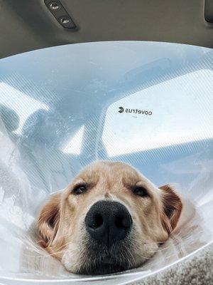 Las Tunas Animal Hospital