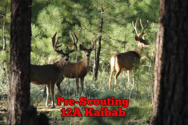 One Shot Installation