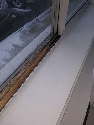 Two of the ones have mold in them the door has by the three 3/4 inch gap on the bottom and a customer service won't respond to me