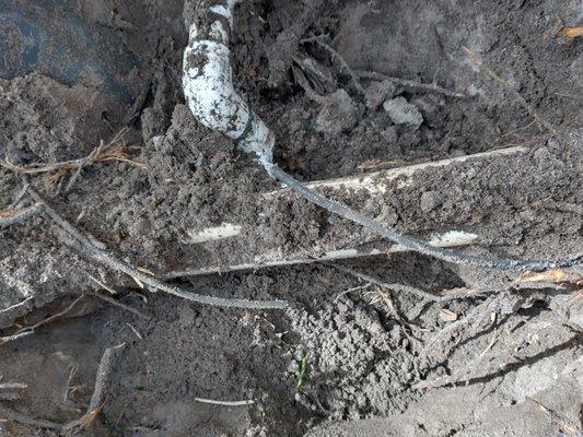 A+ landscaping And Handyman Company