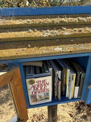 Little Free Library